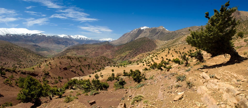 Excursion Atlas Marrakech