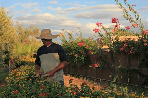 Le Concept Sejour Maroc - Jardinier-SejourMaroc