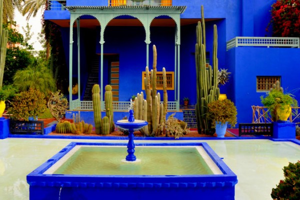 Excursion Marrakech Botanique